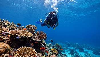 Photographie Sous-Marine : Guide Complet pour Débuter