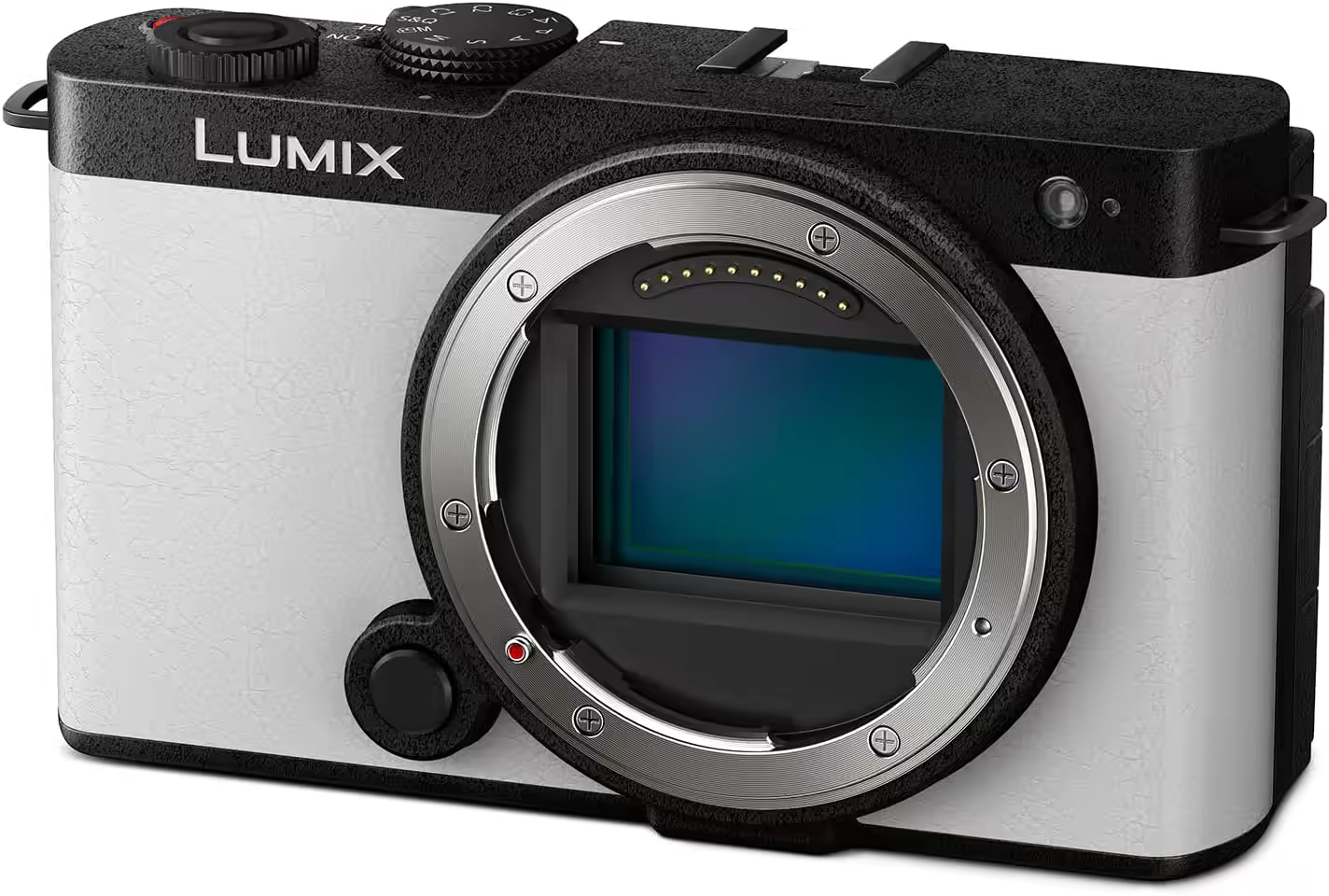 Panasonic Lumix S9