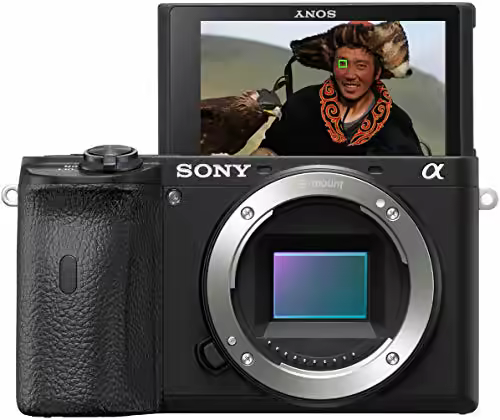 Sony Alpha 6600